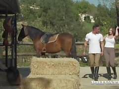 private - Horse Rider Yasmin Scott Rides a Hung Stallion